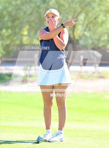 Thumbnail 1 in AIA DII Girls State Championships photogallery.