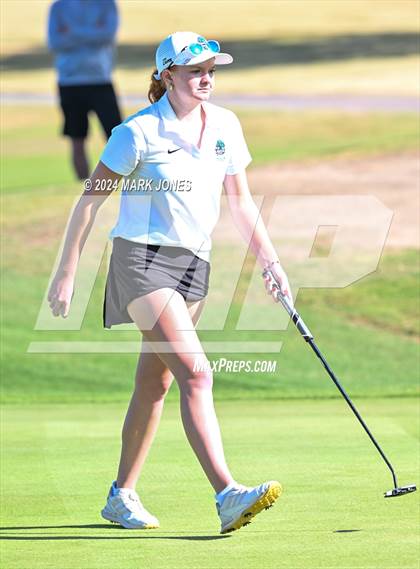 Thumbnail 3 in AIA DII Girls State Championships photogallery.