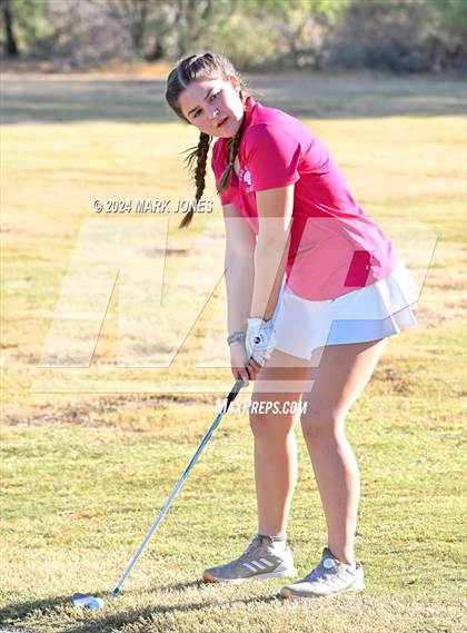 Thumbnail 2 in AIA DII Girls State Championships photogallery.