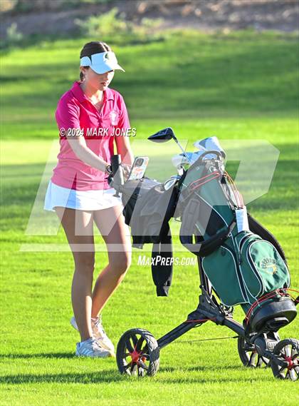 Thumbnail 1 in AIA DII Girls State Championships photogallery.