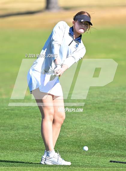 Thumbnail 1 in AIA DII Girls State Championships photogallery.