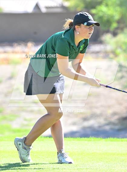 Thumbnail 1 in AIA DII Girls State Championships photogallery.