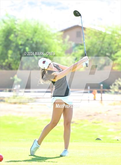 Thumbnail 3 in AIA DII Girls State Championships photogallery.