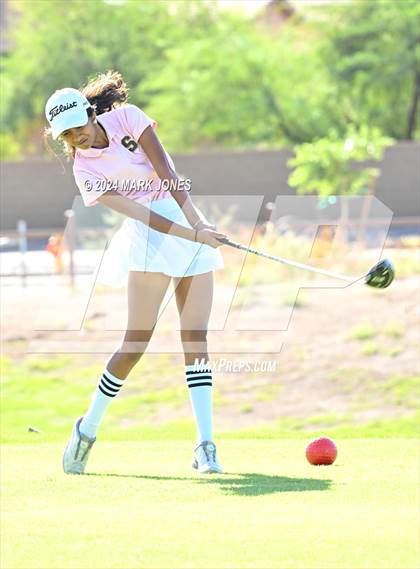 Thumbnail 1 in AIA DII Girls State Championships photogallery.