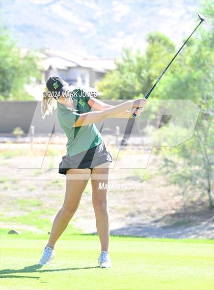 Thumbnail 2 in AIA DII Girls State Championships photogallery.