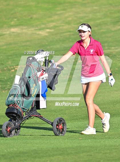 Thumbnail 3 in AIA DII Girls State Championships photogallery.
