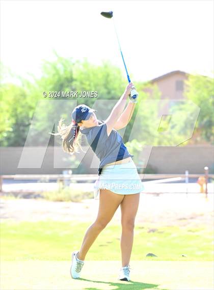 Thumbnail 2 in AIA DII Girls State Championships photogallery.