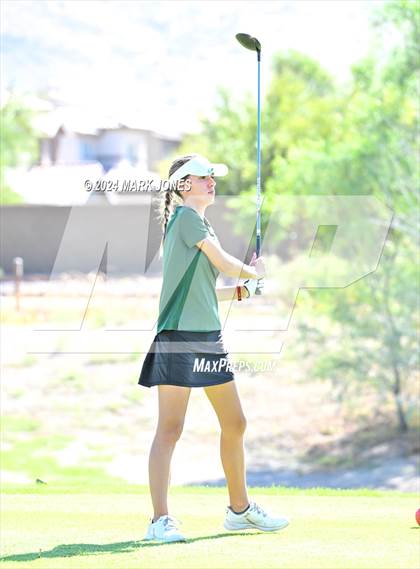 Thumbnail 2 in AIA DII Girls State Championships photogallery.