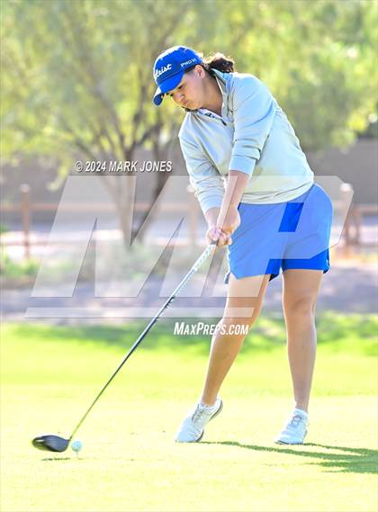 Thumbnail 2 in AIA DII Girls State Championships photogallery.