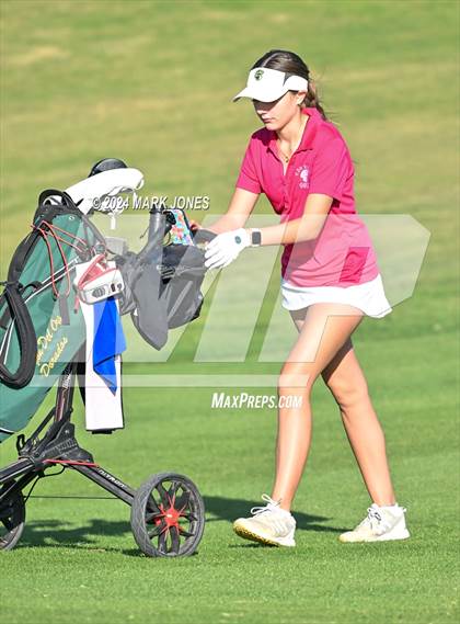 Thumbnail 2 in AIA DII Girls State Championships photogallery.