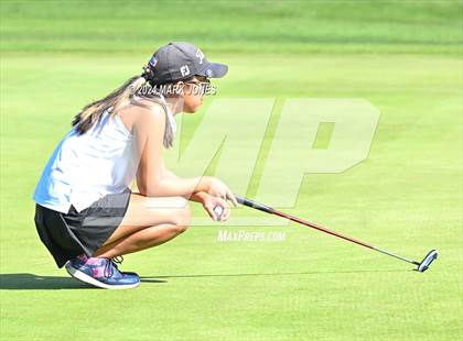 Thumbnail 2 in AIA DII Girls State Championships photogallery.