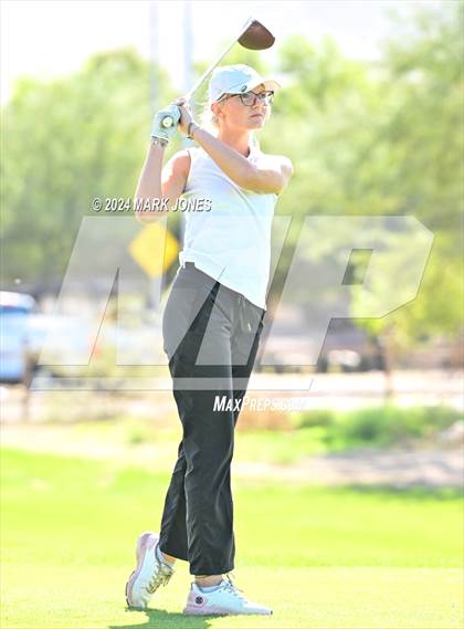 Thumbnail 3 in AIA DII Girls State Championships photogallery.