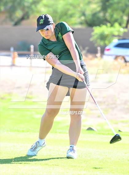Thumbnail 3 in AIA DII Girls State Championships photogallery.