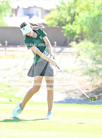 Thumbnail 2 in AIA DII Girls State Championships photogallery.