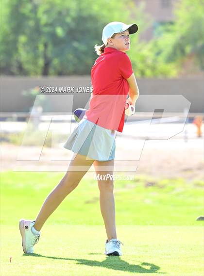 Thumbnail 2 in AIA DII Girls State Championships photogallery.