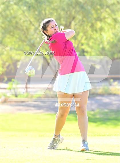 Thumbnail 1 in AIA DII Girls State Championships photogallery.