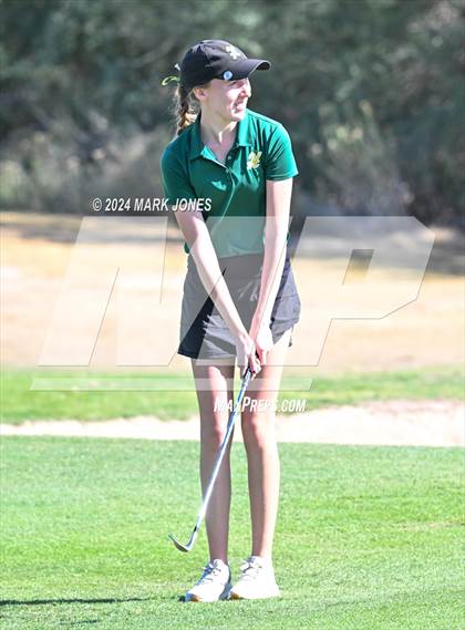 Thumbnail 2 in AIA DII Girls State Championships photogallery.
