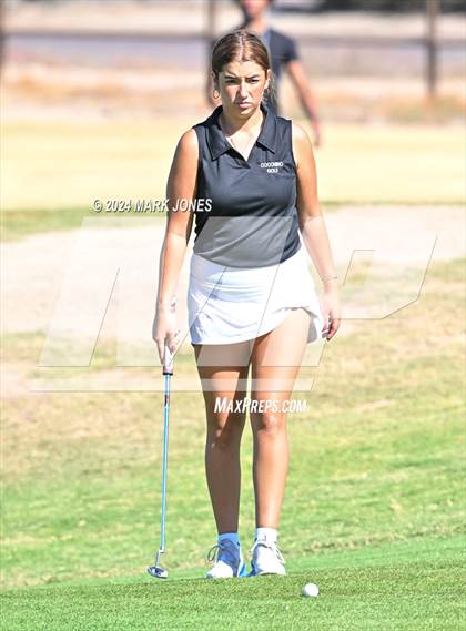 Thumbnail 2 in AIA DII Girls State Championships photogallery.