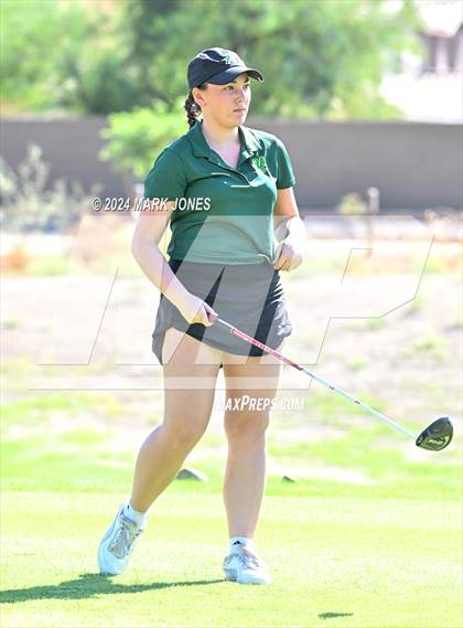 Thumbnail 1 in AIA DII Girls State Championships photogallery.