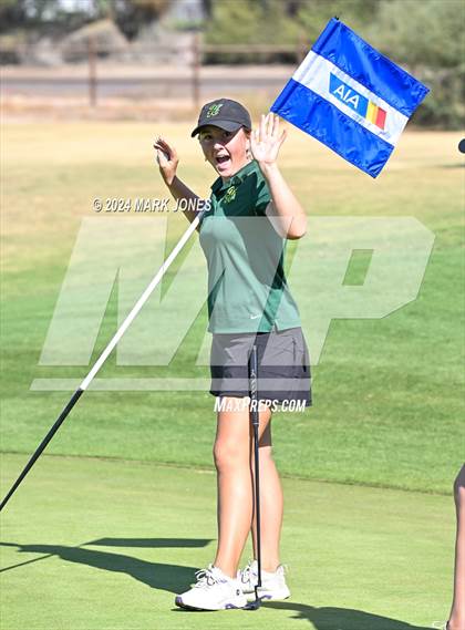 Thumbnail 3 in AIA DII Girls State Championships photogallery.