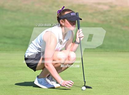 Thumbnail 1 in AIA DII Girls State Championships photogallery.