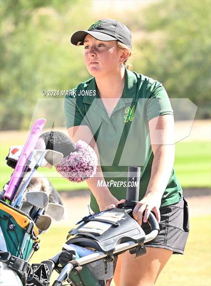 Thumbnail 3 in AIA DII Girls State Championships photogallery.