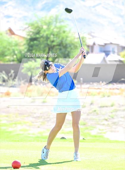 Thumbnail 2 in AIA DII Girls State Championships photogallery.