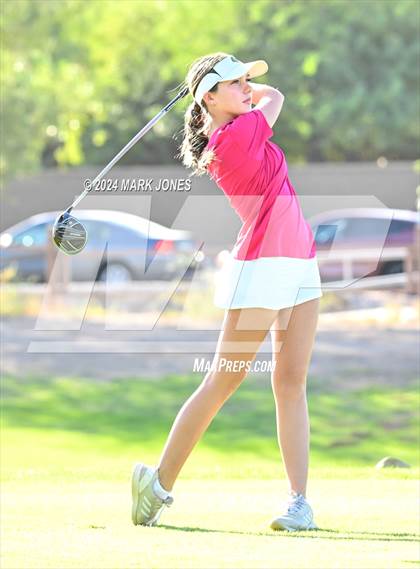 Thumbnail 2 in AIA DII Girls State Championships photogallery.