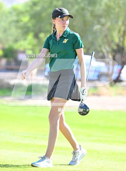 Thumbnail 1 in AIA DII Girls State Championships photogallery.