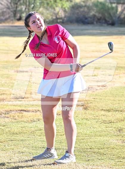 Thumbnail 1 in AIA DII Girls State Championships photogallery.