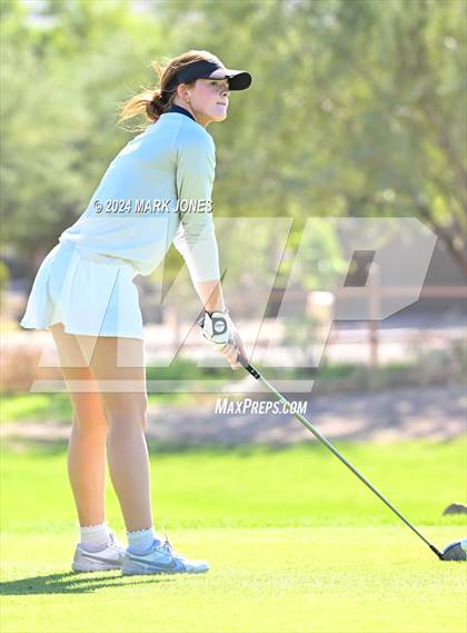 Thumbnail 2 in AIA DII Girls State Championships photogallery.