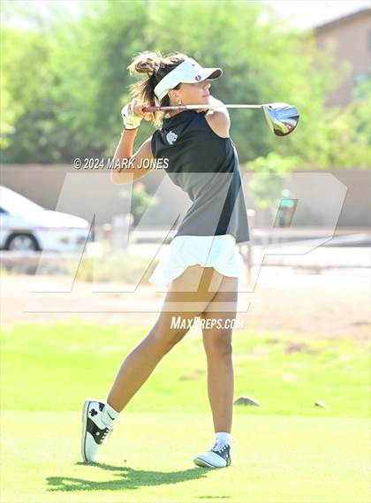 Thumbnail 1 in AIA DII Girls State Championships photogallery.