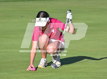 Thumbnail 1 in AIA DII Girls State Championships photogallery.