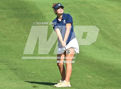 Thumbnail 2 in AIA DII Girls State Championships photogallery.