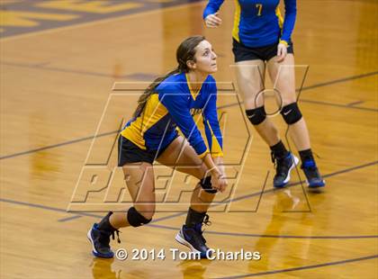 Thumbnail 3 in Leonard @ Farmersville photogallery.