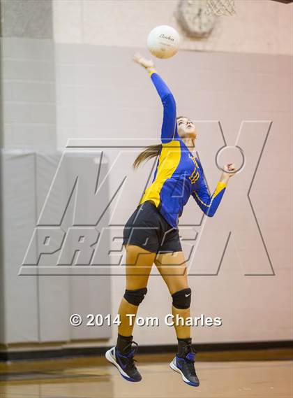 Thumbnail 2 in Leonard @ Farmersville photogallery.