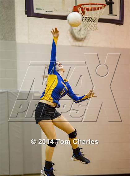 Thumbnail 2 in Leonard @ Farmersville photogallery.