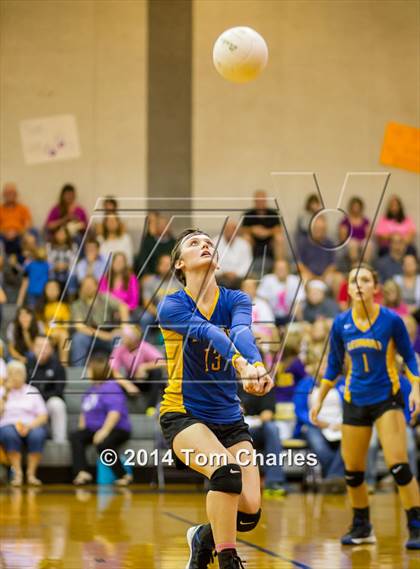 Thumbnail 2 in Leonard @ Farmersville photogallery.