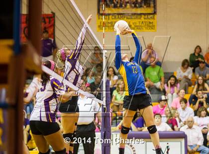 Thumbnail 1 in Leonard @ Farmersville photogallery.