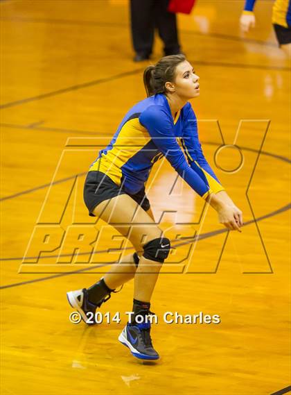 Thumbnail 3 in Leonard @ Farmersville photogallery.