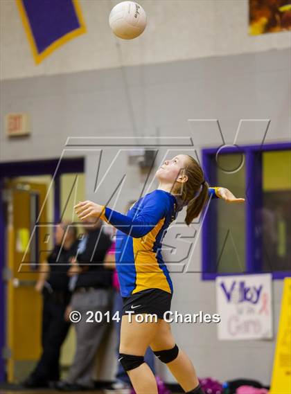 Thumbnail 3 in Leonard @ Farmersville photogallery.