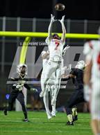 Photo from the gallery "Freedom @ Gainesville"