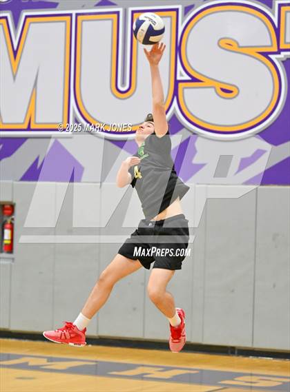 Thumbnail 1 in Canyon del Oro @ Sunrise Mountain (AIA 5A Play-In) photogallery.