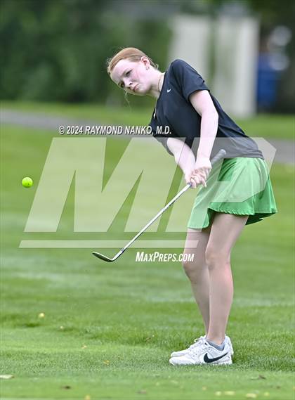 Thumbnail 3 in Delaware County Tournament photogallery.