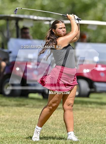Thumbnail 2 in Delaware County Tournament photogallery.