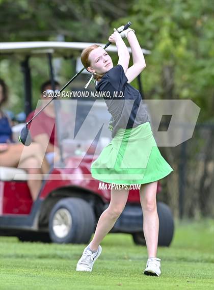 Thumbnail 3 in Delaware County Tournament photogallery.