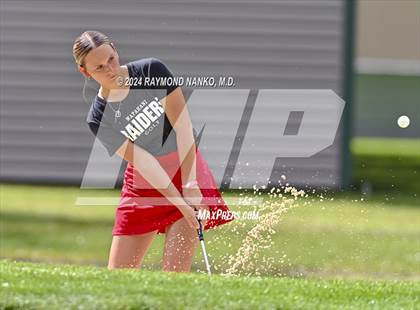 Thumbnail 2 in Delaware County Tournament photogallery.