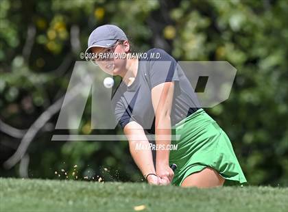 Thumbnail 2 in Delaware County Tournament photogallery.