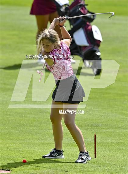 Thumbnail 2 in Delaware County Tournament photogallery.