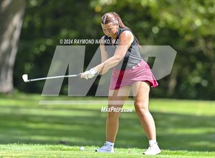 Thumbnail 3 in Delaware County Tournament photogallery.